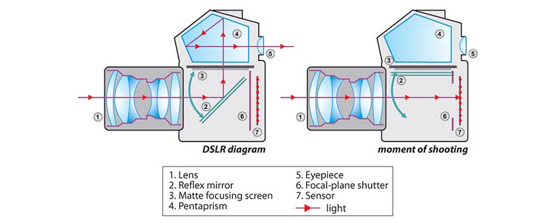 single lens reflex camera system