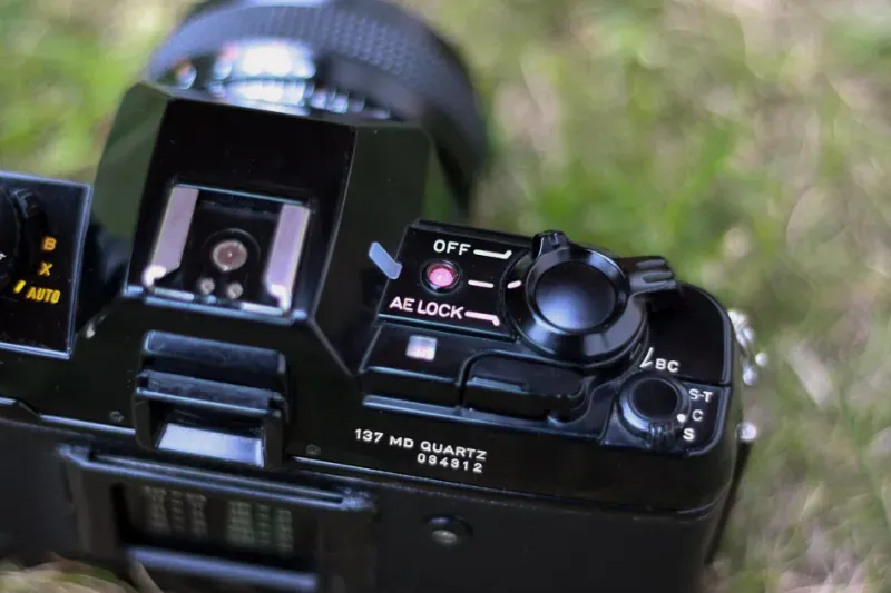 Contax 137 MD top