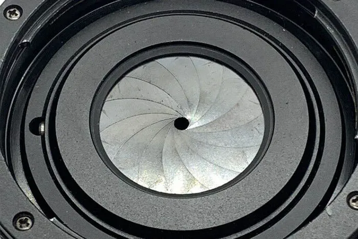 Diaphragm