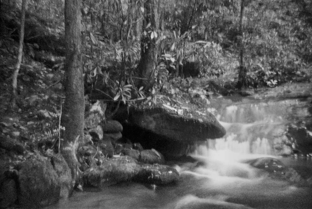 Brownie Flash Six-20 Photo sample