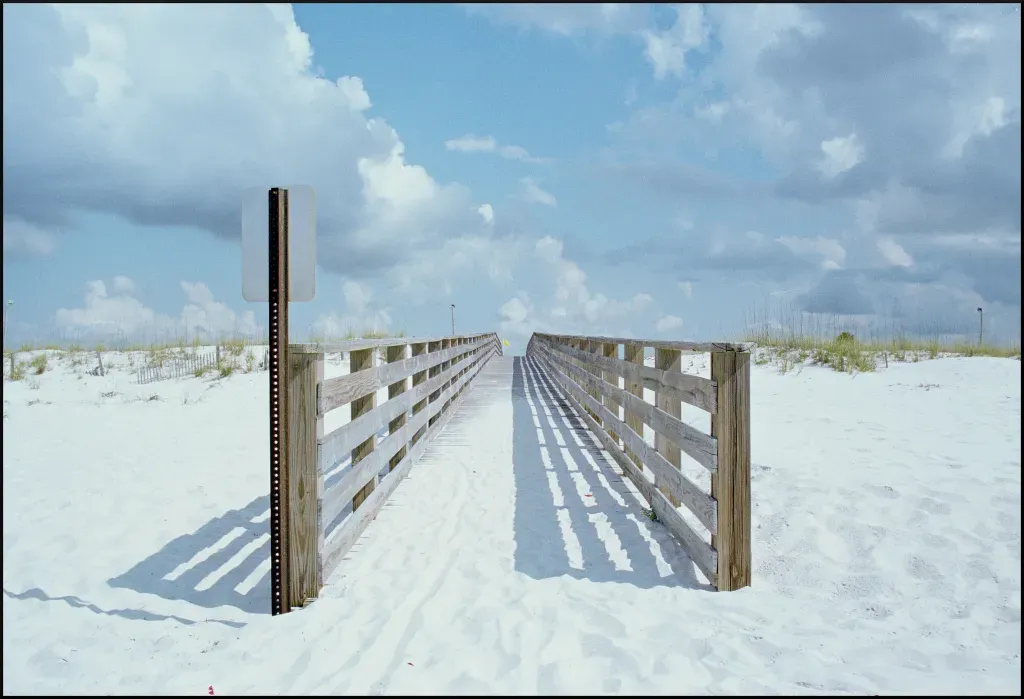 Canon F-1 Sample shot