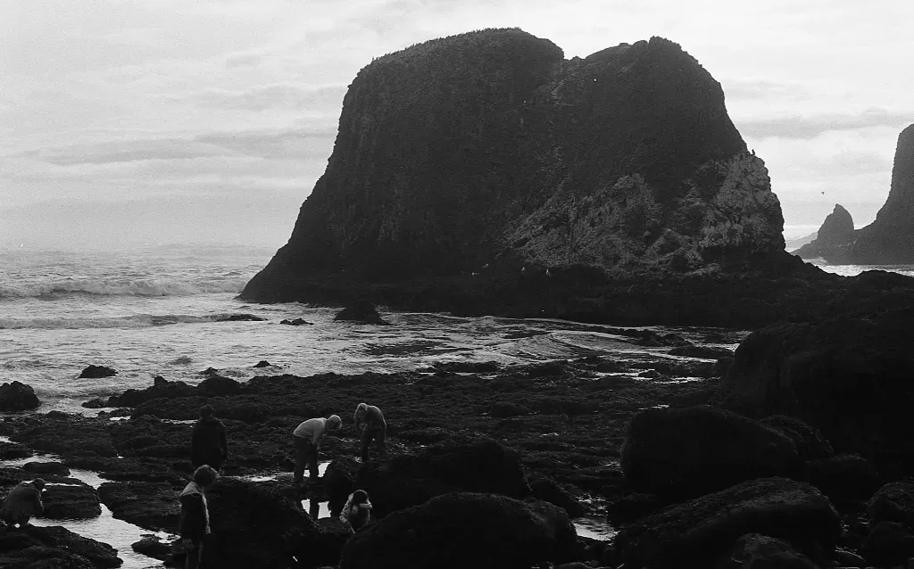 Canon F-1 Sample photo