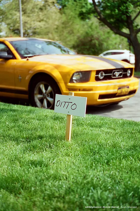 CineStill 400dynamic sample