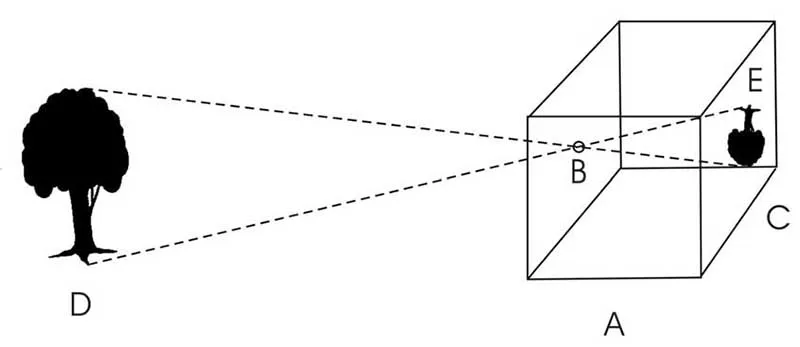 Dark box scheme