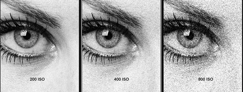 200 iso vs 400 iso and 800 iso