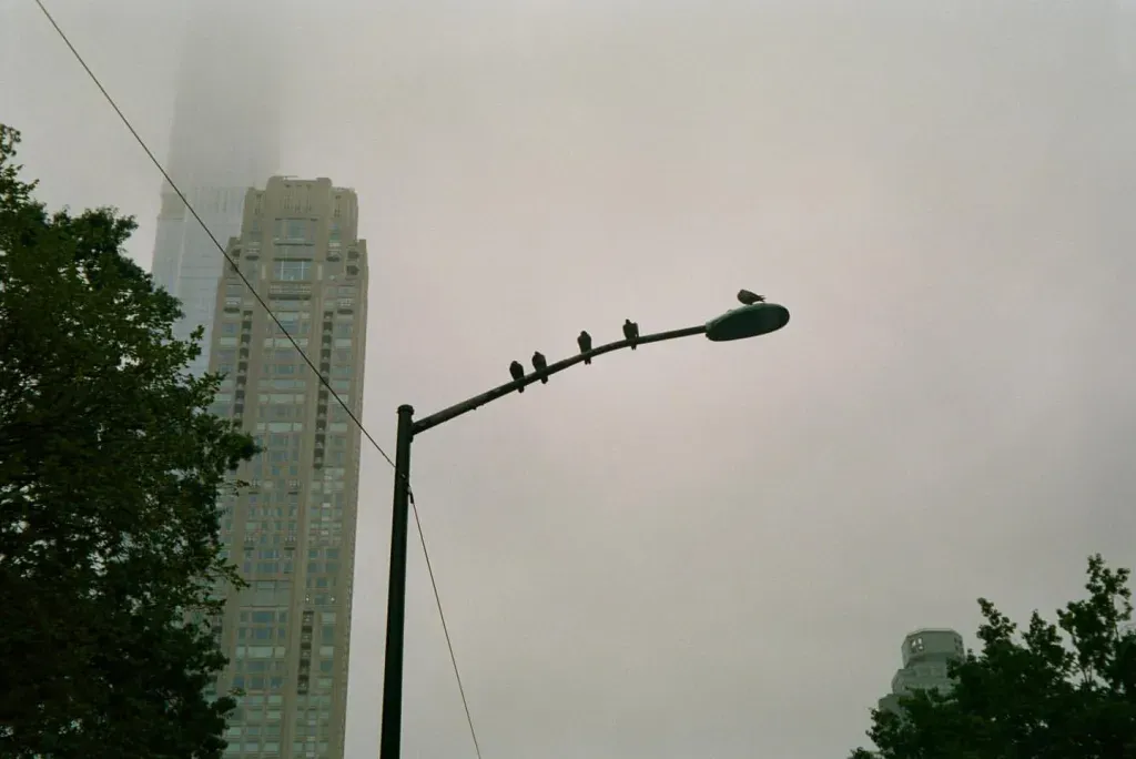 Accura Zoom XB 70 photo