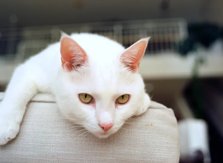 pentax 645n sample photo