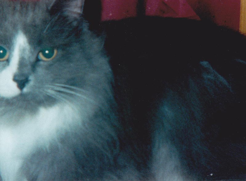 110 film sample shot