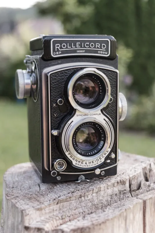 rolleicord portrait