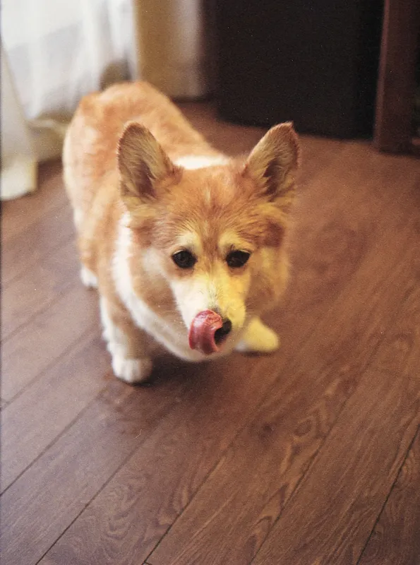 Olympus Pen-D example bokeh