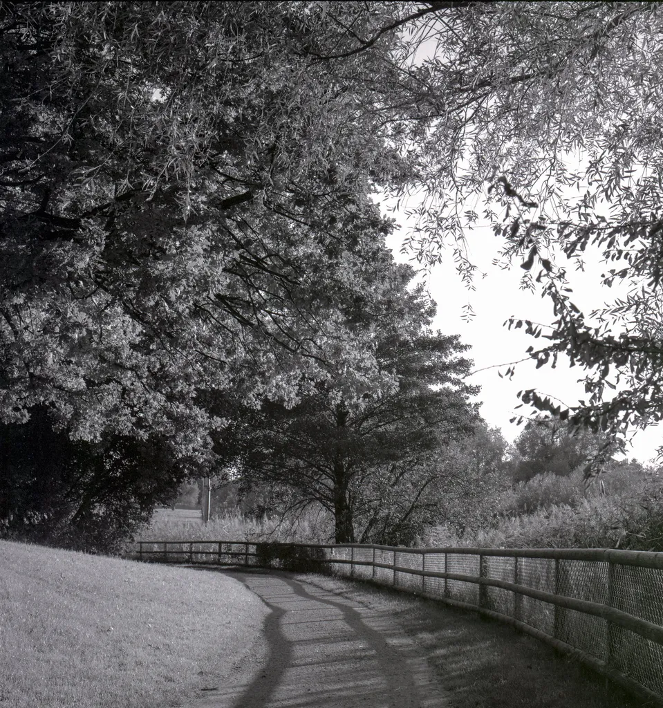 Rolleiflex 2.8F sample photo