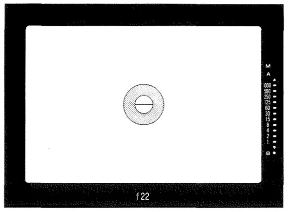 Minolta X-370 viewfinder info