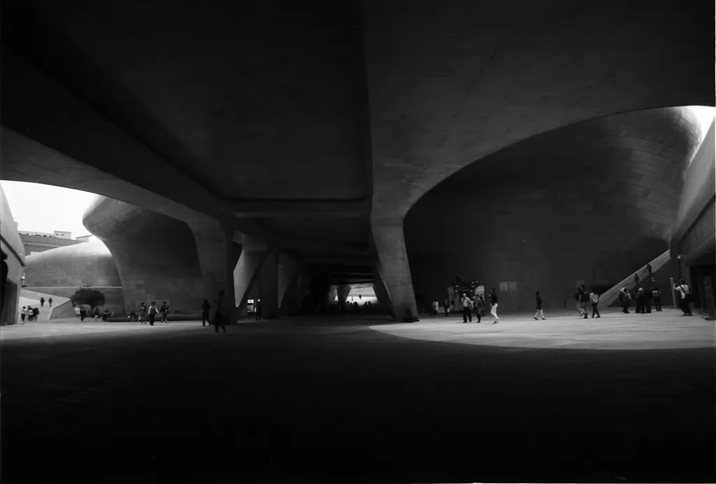 Yashica FX-3 sample photo