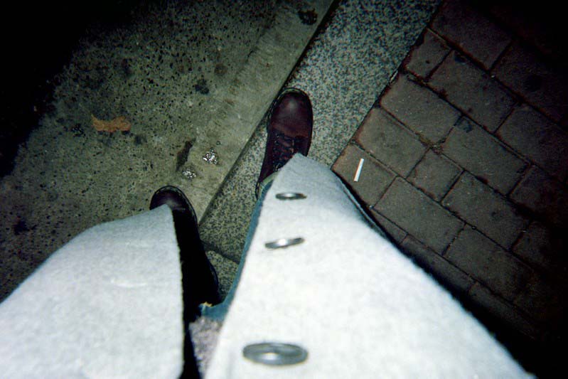 Disposable camera sample