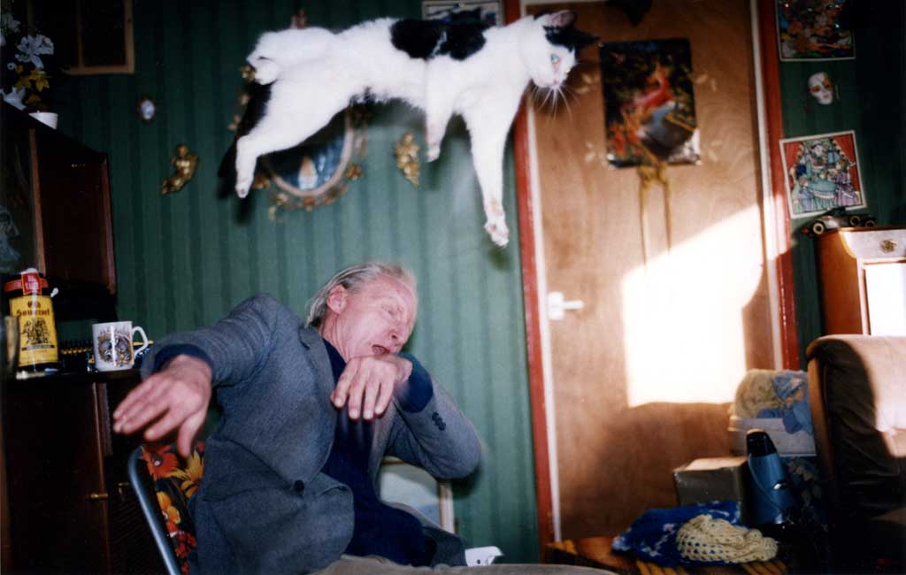 Book pages "Ray's a laugh" by Richard Billingham, cat flying