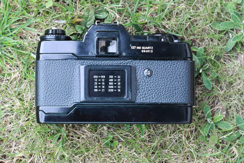 Contax 137 MD back