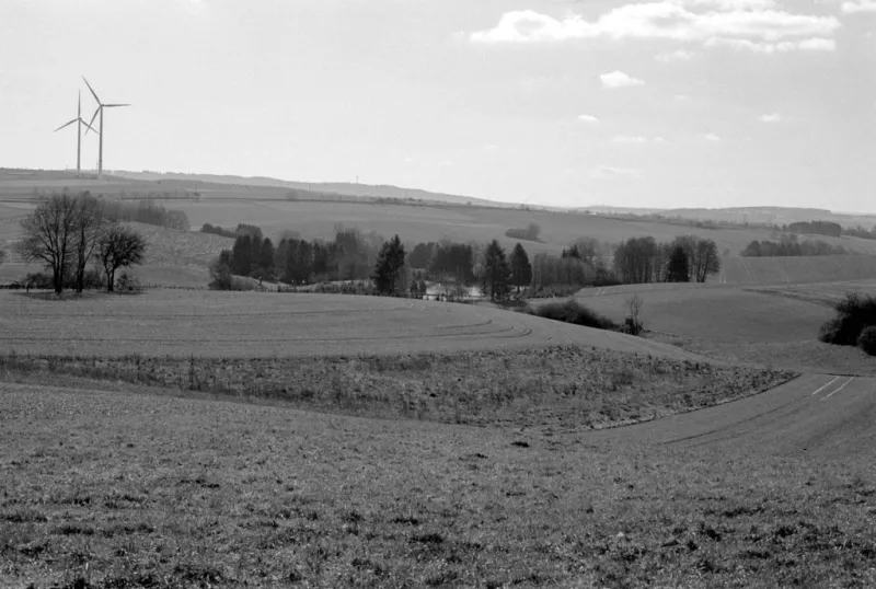 Ilford Pan F Plus bw photo