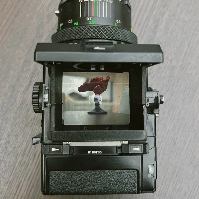 bronica etrs viewfinder